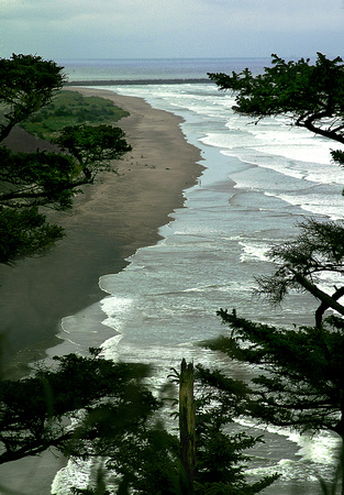 olympic peninsula coast-2003-Kinney