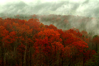 autumn vista-2004-Kinney