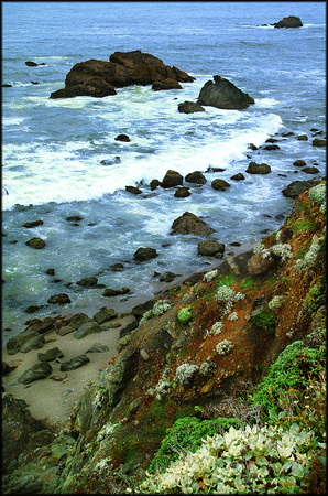 Pacific Coastal-2003-Kinney