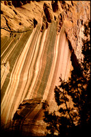 bt.gold.canyon-wall.2002.kinney