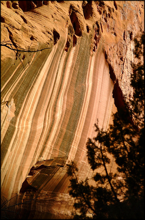 bt.gold.canyon-wall.2002.kinney