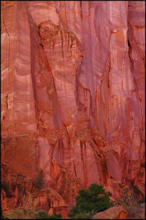 bt.red canyon wall.2002.kinney