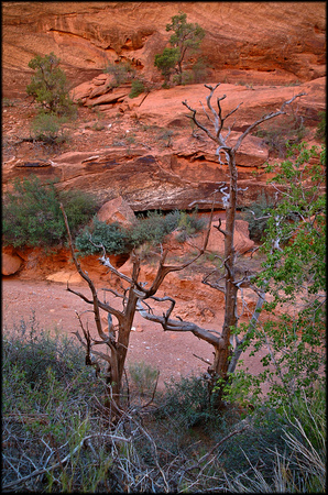 bt.canyon.scene.2002.kinney