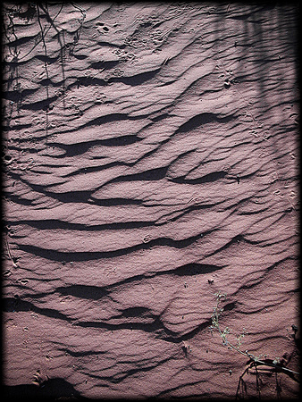 Patterns in the Desert